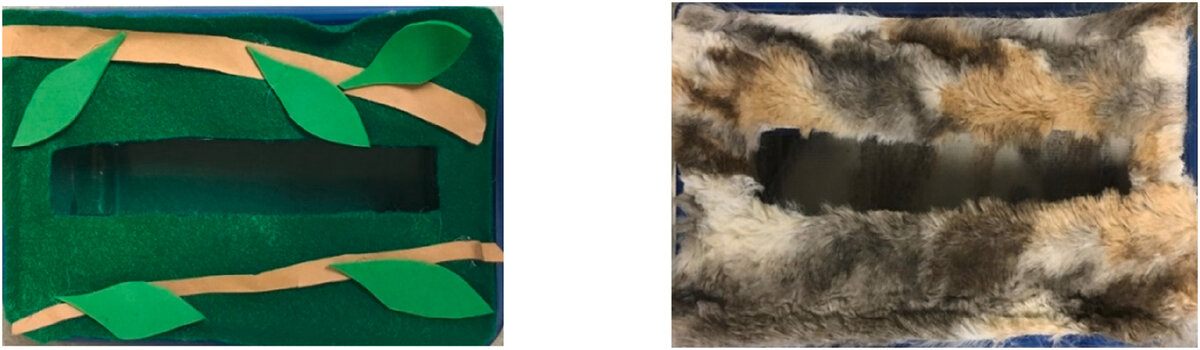 Коробки, используемые в задании на сортировку по происхождению пищевых продуктов. Источник изображения: sciencedirect.com