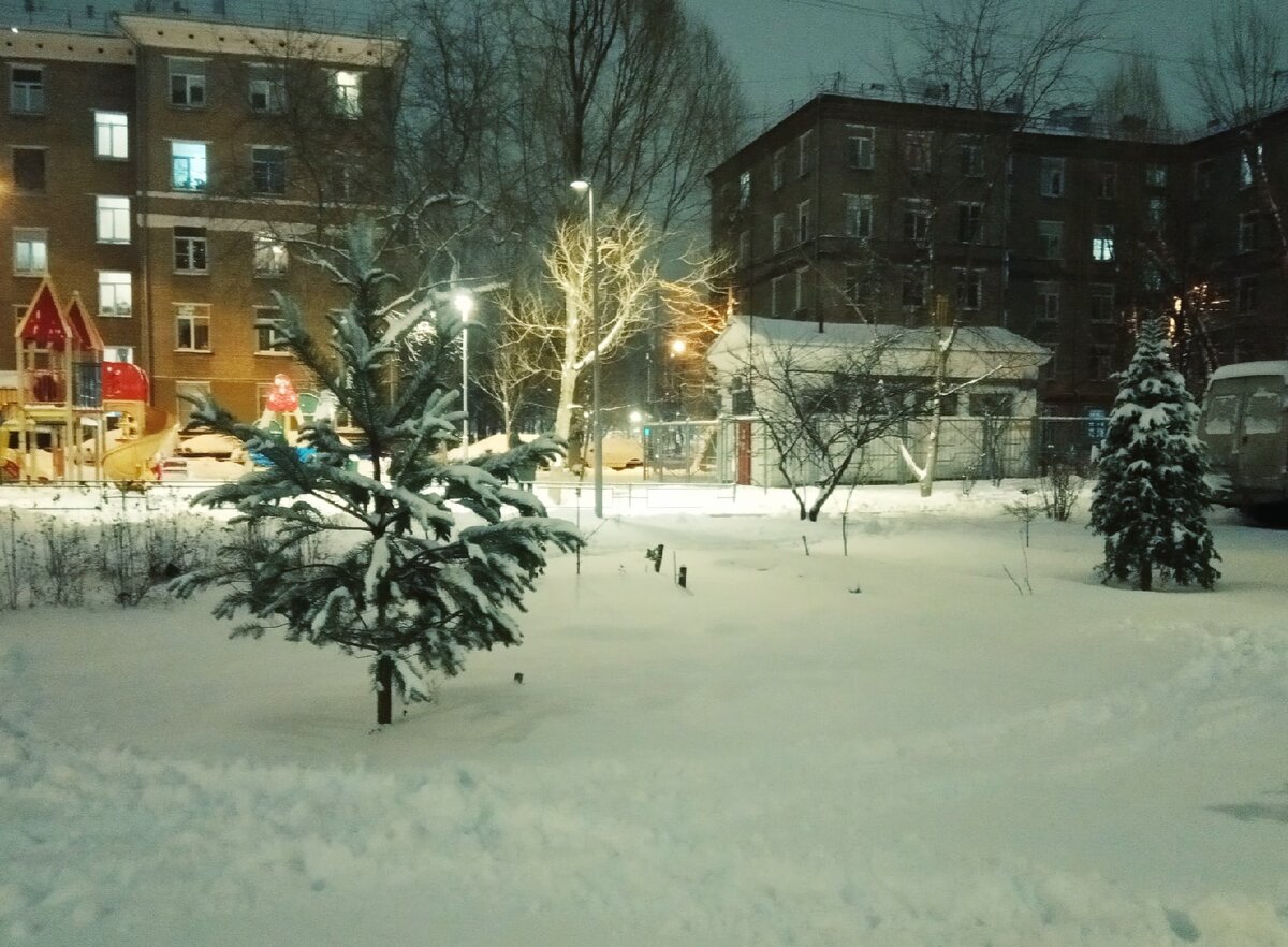 Ух хороша малышка-елка, хоть прям сейчас наряжай ее, заснеженную, да детвору выводи на хоровод!