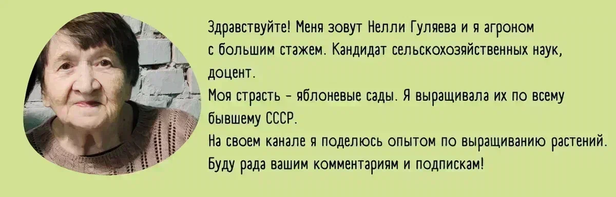 Как посадить семена кипарисовика и ухаживать за разными видами растения