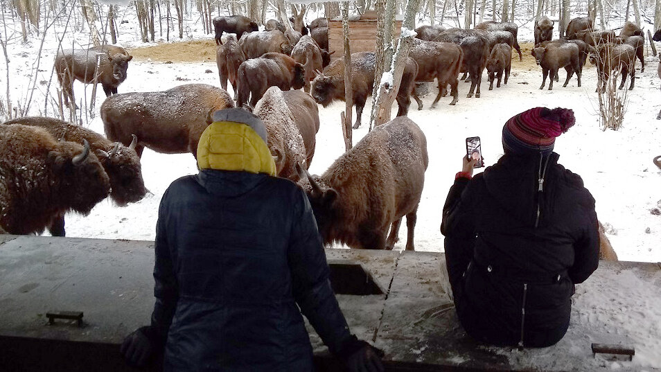 Фото взято с ресурса: zaseki.ru 
