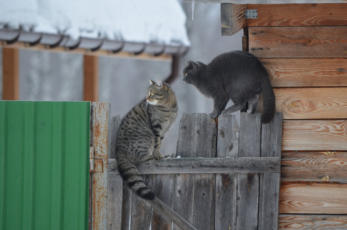 Фото автора