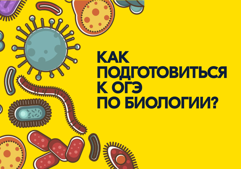 Конкурсы по биологии 2025. Конкурсы по биологии 2025