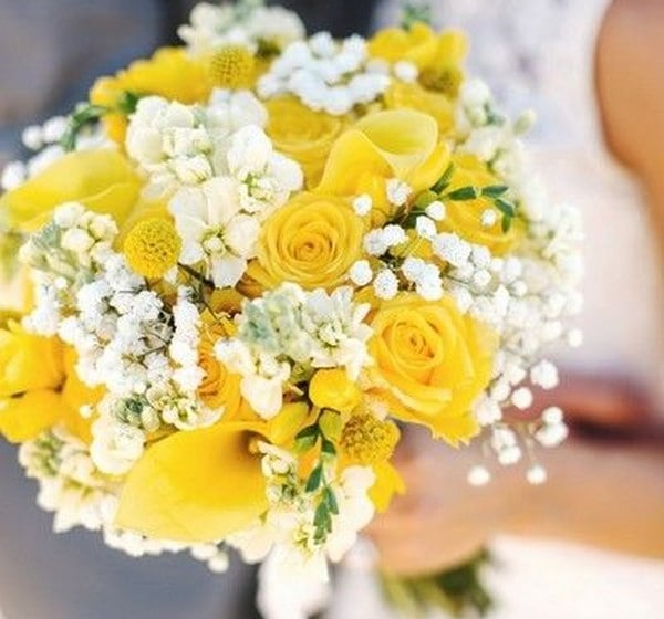 Фото из источника ЯндексКартинки