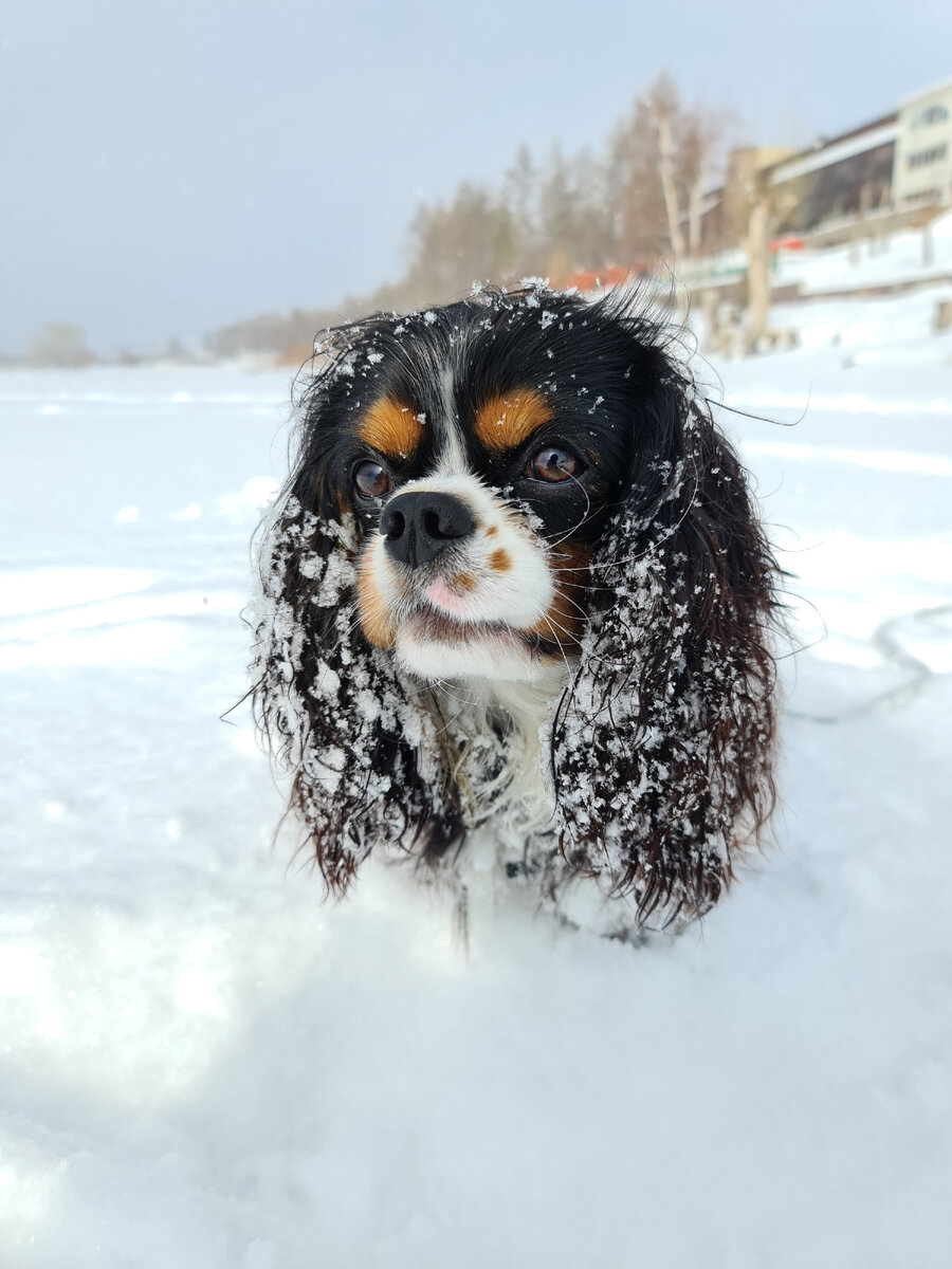 Рассказ 