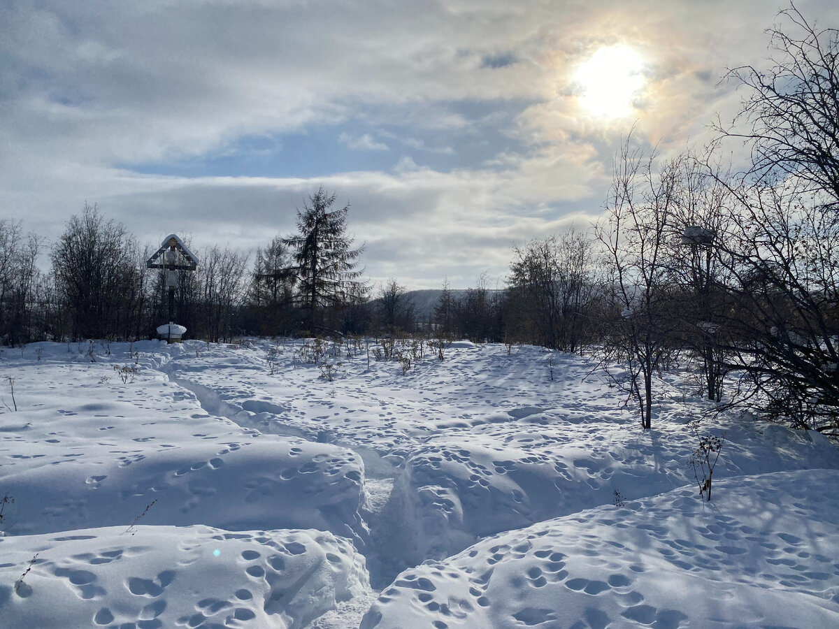 Посреди месяца. Посреди месяца. Странник. Месяц над лесом. Снег посреди лета.