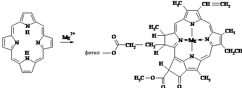 -36