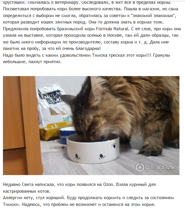 Один из двух отзывов на "Отзовик"