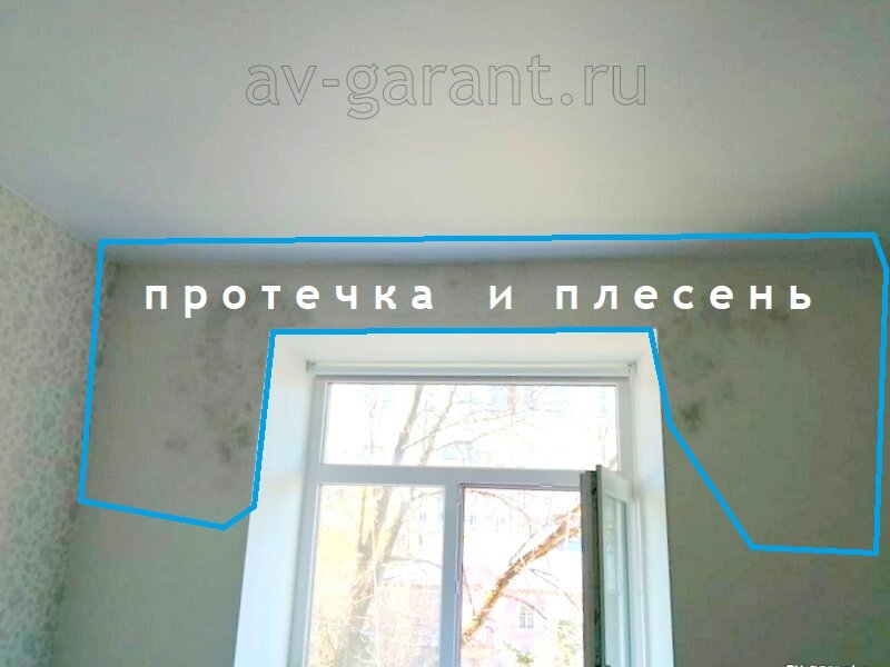 На фото: следы протечек на стене и откосах, образование плесени