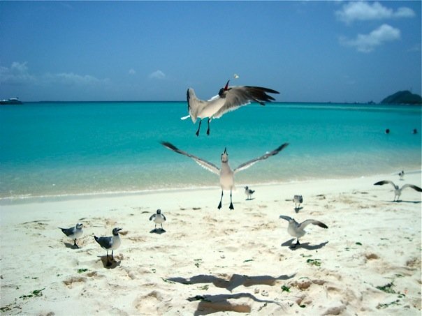 Архипелаг los Roques