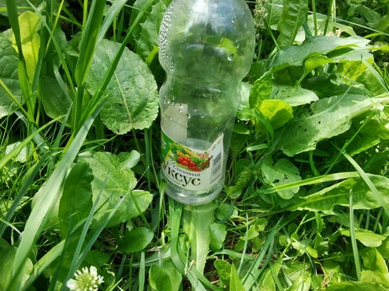 Уксус. Иллюстрация к статье используется по стандартной лицензии