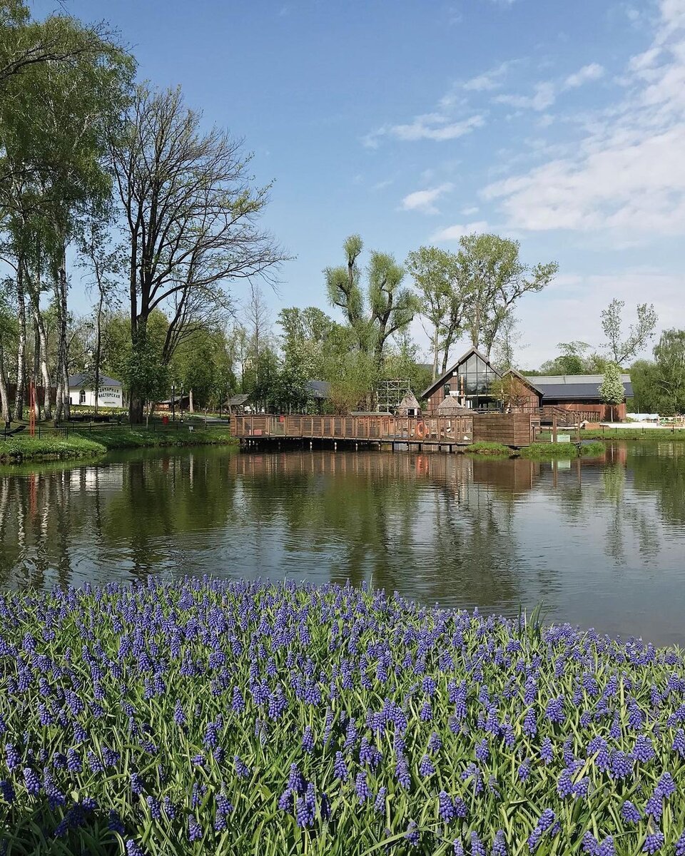 Фотографии: наш личный архив, пресс-служба ВДНХ, бюро Wowhaus