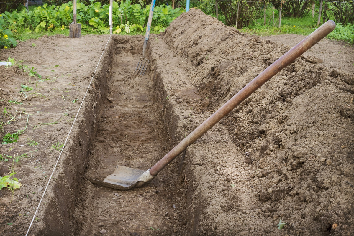 Фото из свободных источников