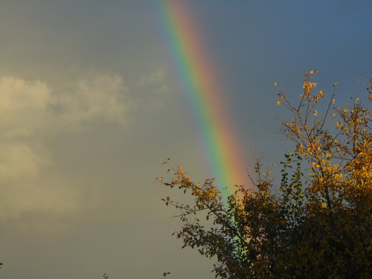 Фото автора канала