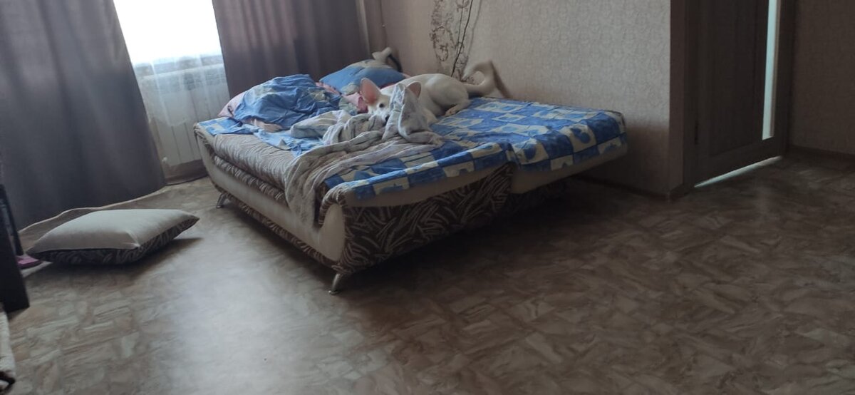 Просто валяюсь