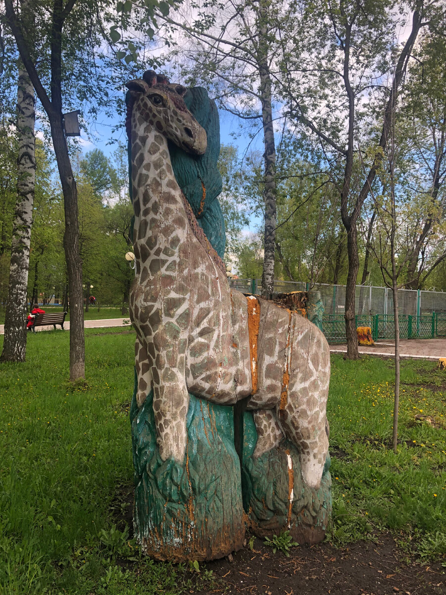 "Жираф" из спиленного погибшего дерева. В парке имени 60- летия  нефти Татарстана. 