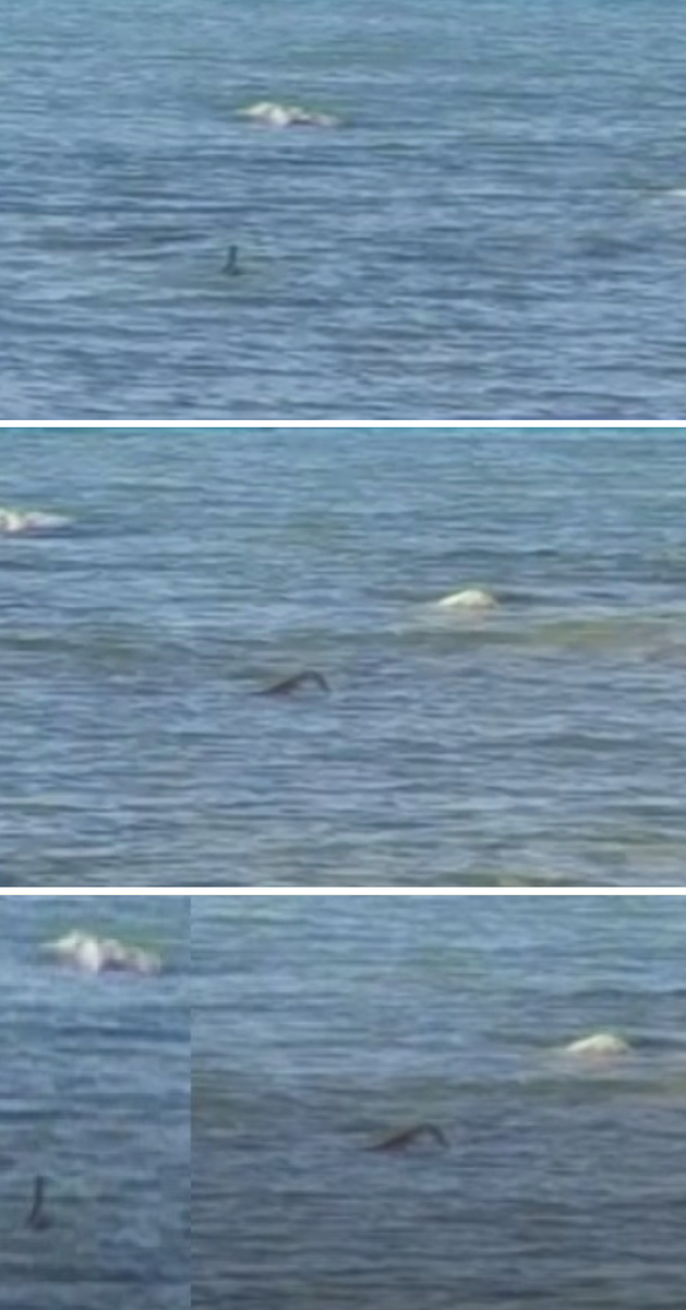 Первоначальные снимки и их совмещение.