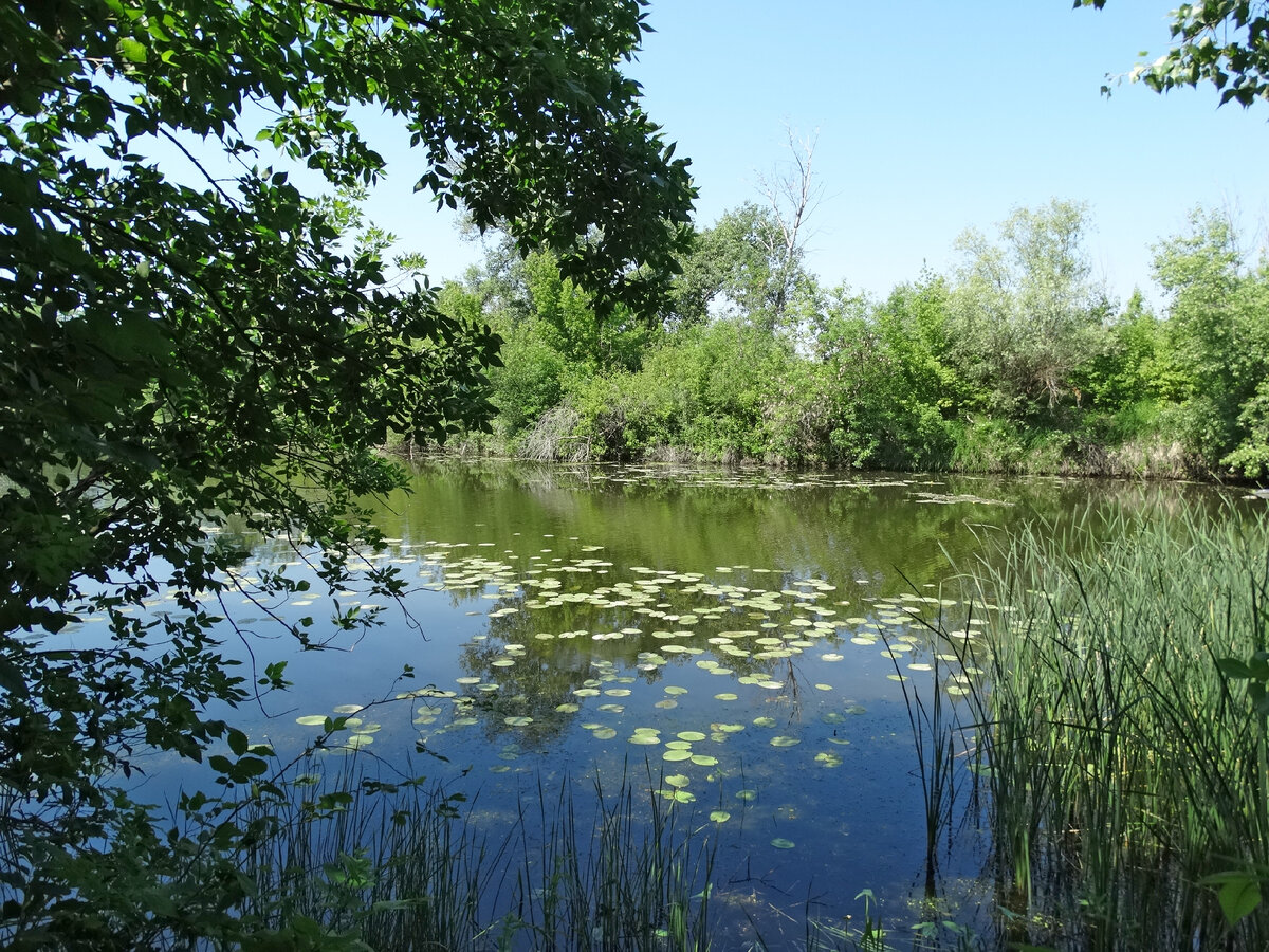 Такой пейзаж притягивает взгляд
