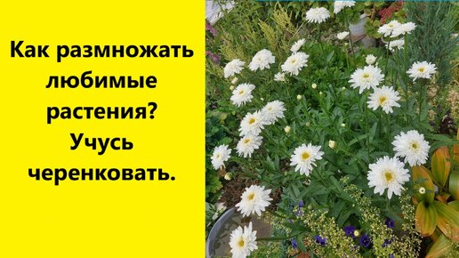 Люди которые любят растения. Люди которые любят растения