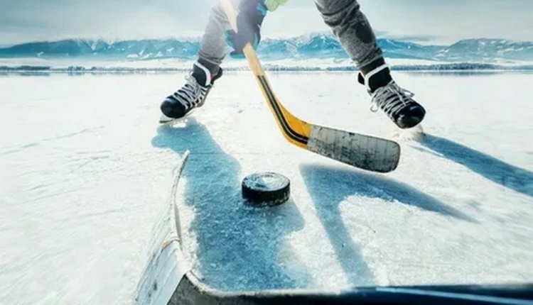 Фото: из открытых источников