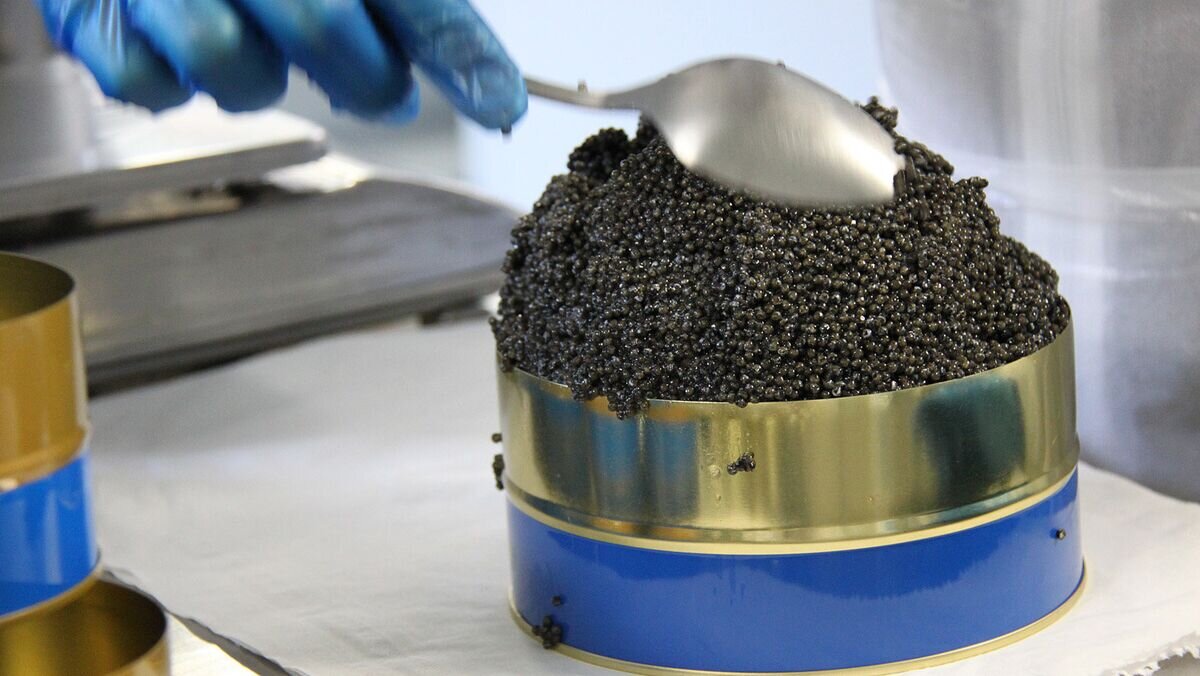    Черная икра из Гранады© РИА Новости / Елена Висенс