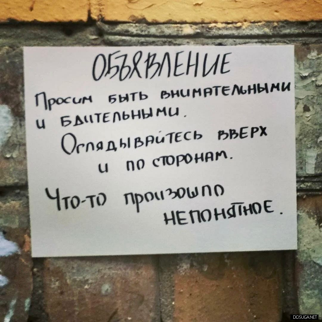 Смешные объявления. Смешные объявления и надписи. Объявления приколы. Самые прикольные объявления.