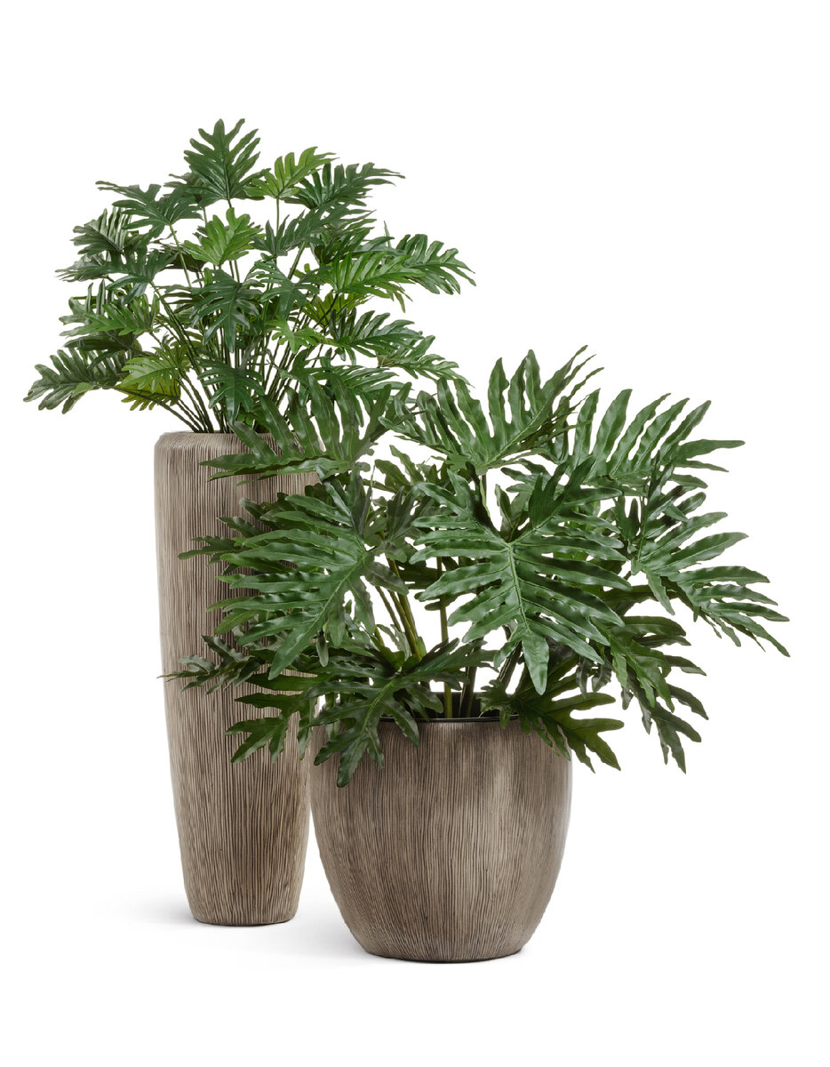 Кустовые искусственные филодендроны Treez Collection в кашпо Treez Effectory.