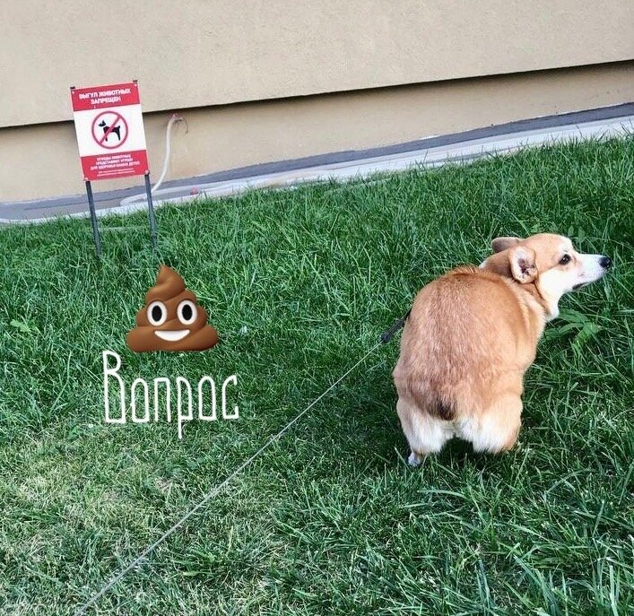 Преступление без наказания.