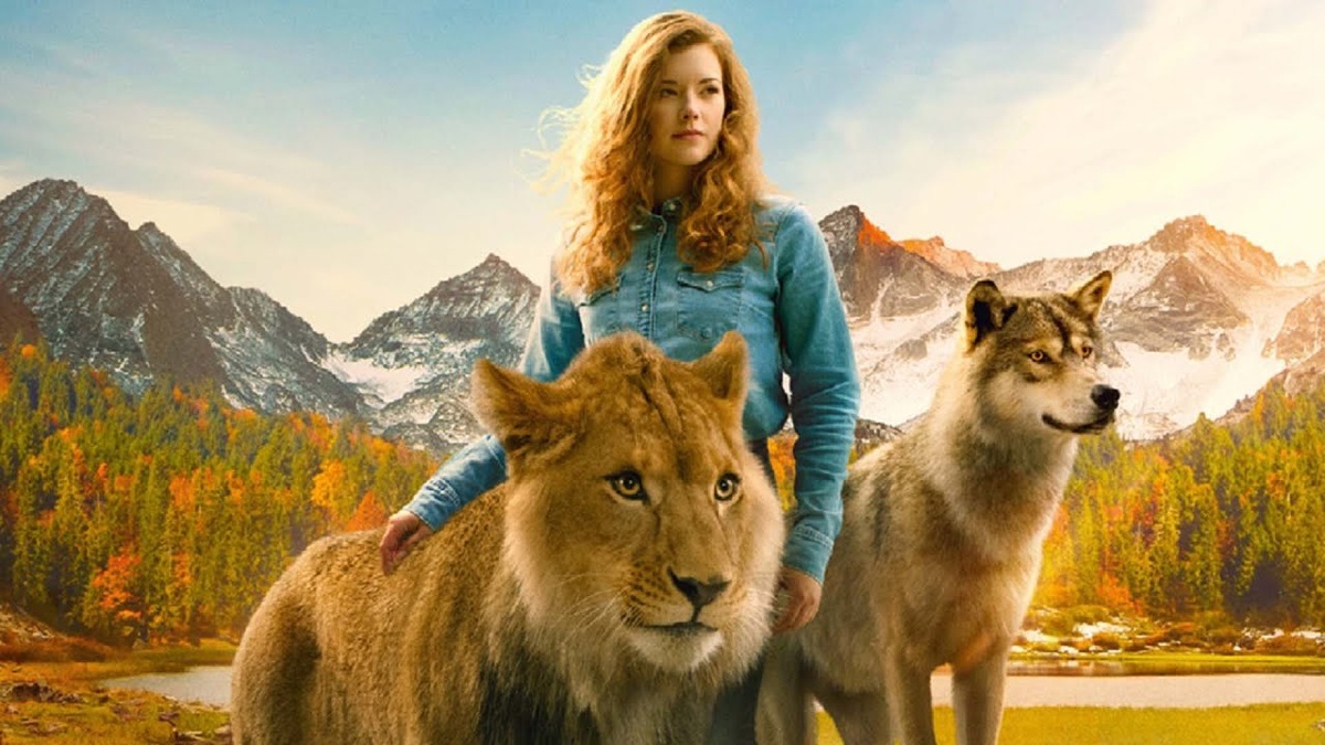 фото из открытого источника