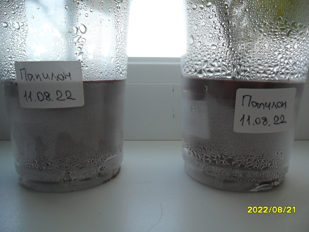 Конденсат на пластиковых стаканчиках