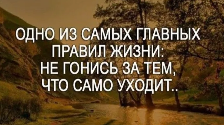 Мудрые слова. Психология случаи из жизни. Правила мудрости. Мудрость правит. Человеческая мудрость.