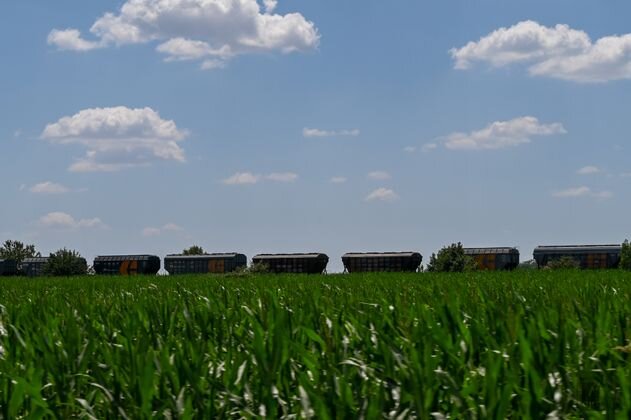    Вагоны для погрузки зерна на железнодорожных путях Александр Погожев © ИА REGNUM