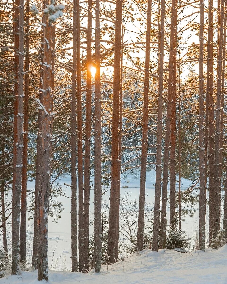 Карельская зима | Петр Косых | Дзен