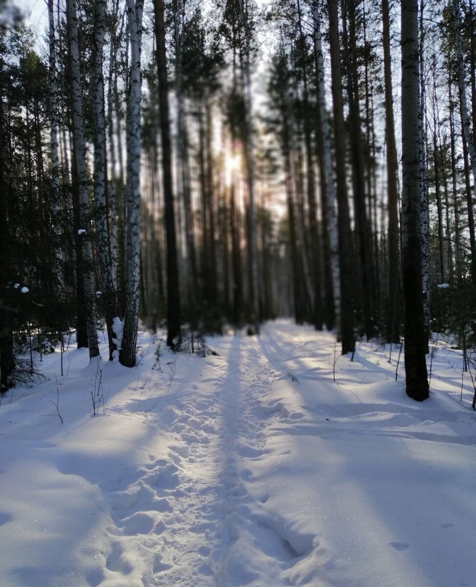 Важные вещи требуют тишины. Найдите гармонию в себе.