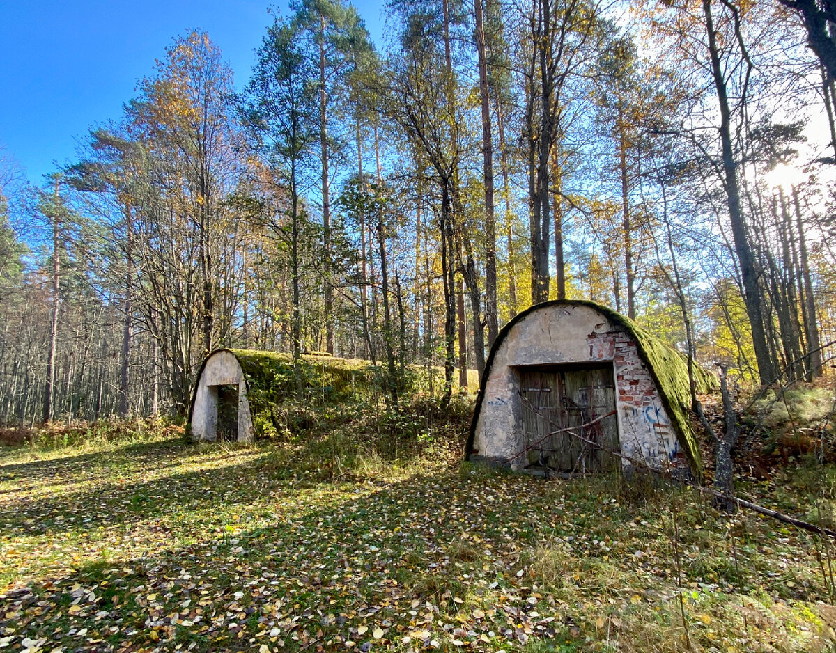 Вход в погреба сверху