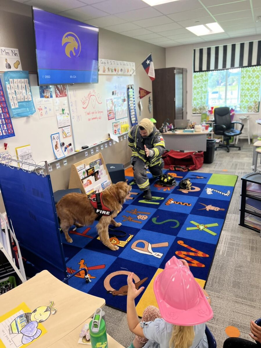   GEORGETOWN TEXAS FIRE DEPARTMENT