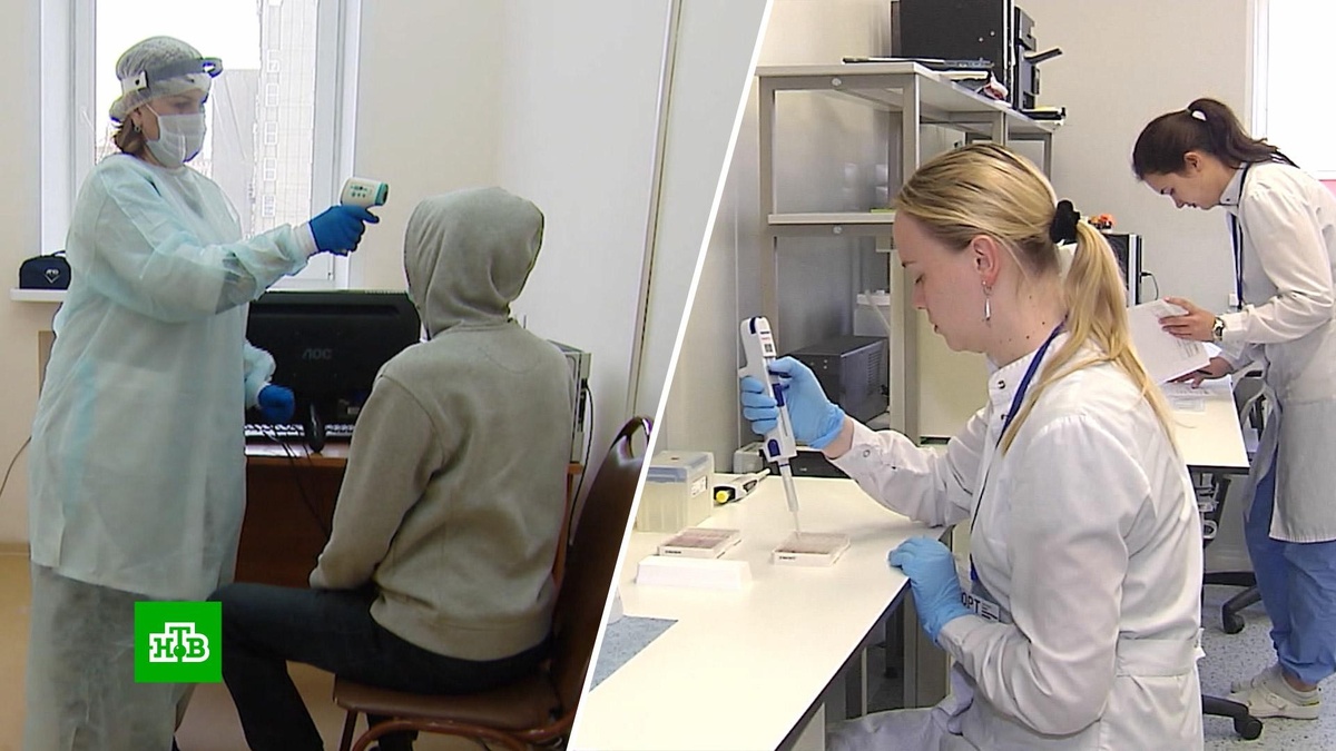    Насколько свиной грипп опасен для россиян