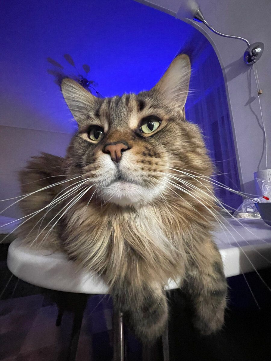 Лицо с буквы Л