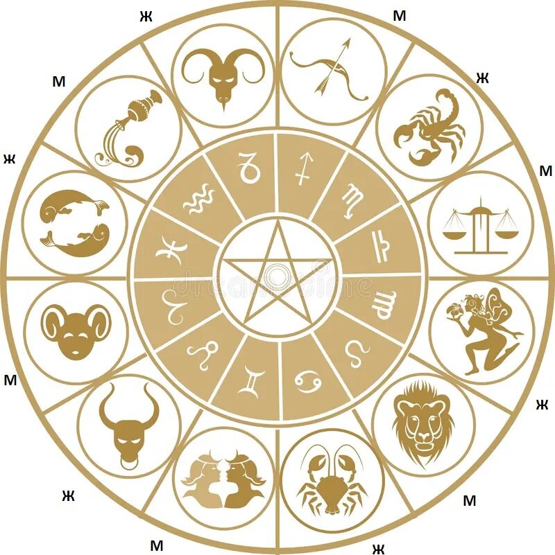 Зодиак с обозначением мужских и женских знаков.