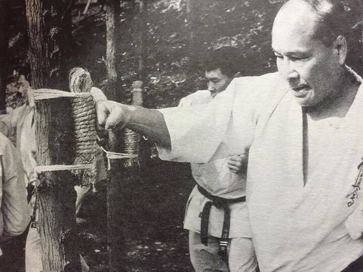 Фото с сайта https://ru.pinterest.com/pin/735775657853563846/