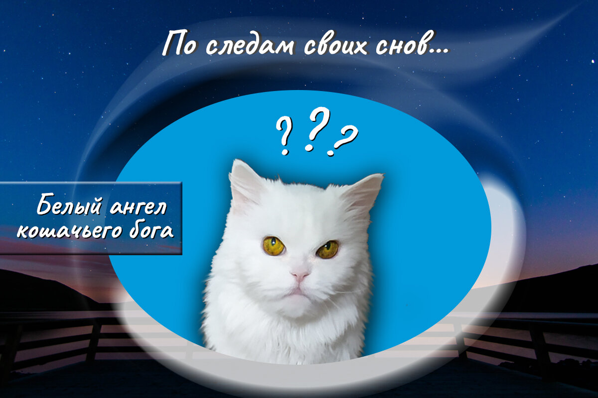 По следам своих снов читать. По следам своих снов читать