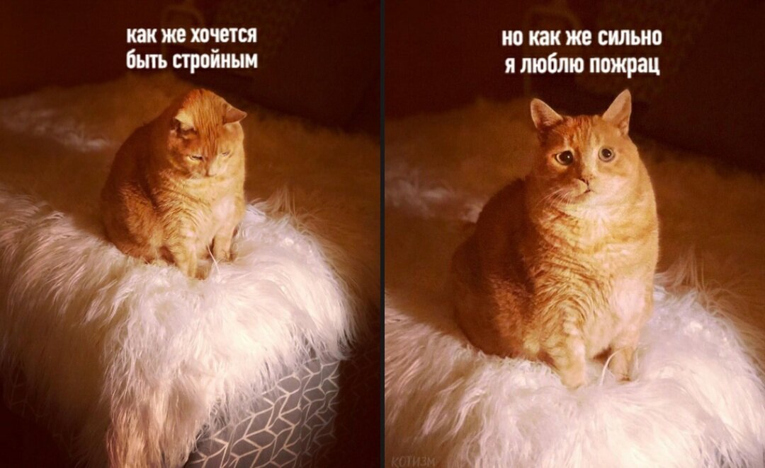 Как худеете вы? 