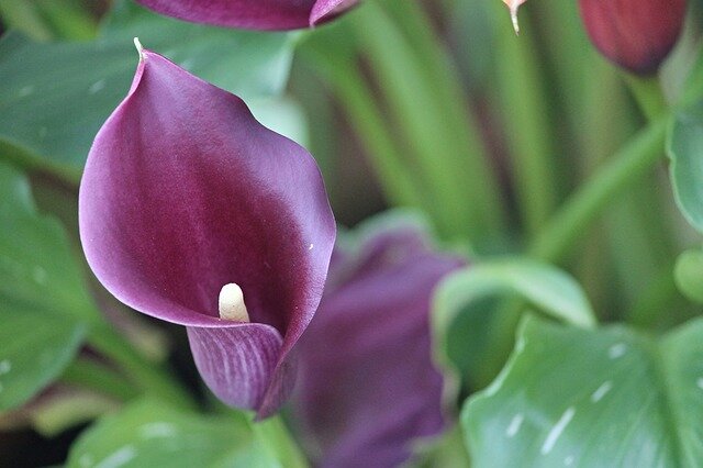 фотография с сайта pixabay.com