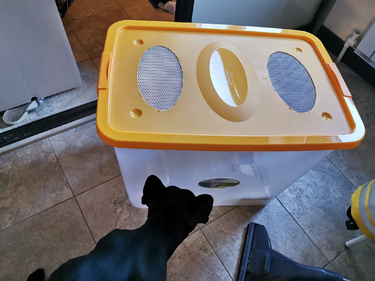  Один из контейнеров для сверчков (фото автора)