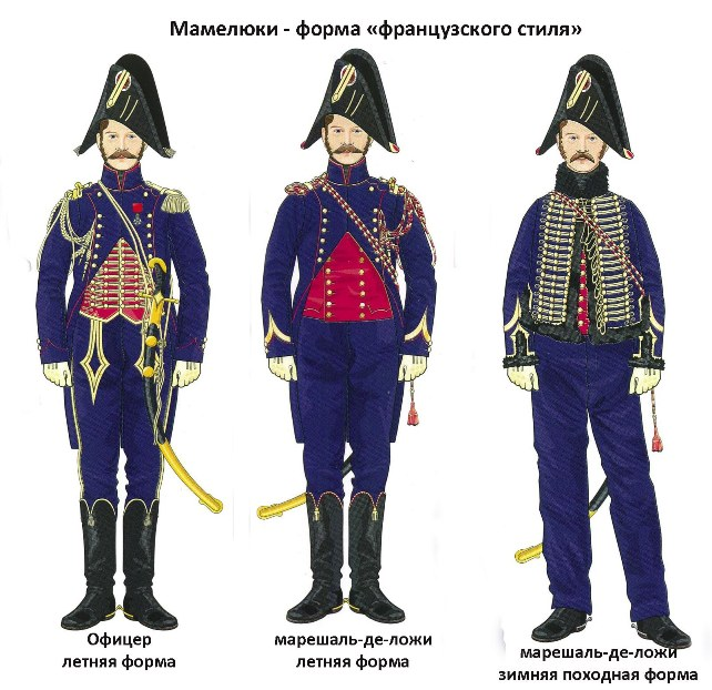 Форма офицеров французской армии 1812 года. Обмундирование французской армии 1812 Наполеон. Армия Наполеона 1812 зимняя форма. Форма солдат наполеоновской армии 1812.