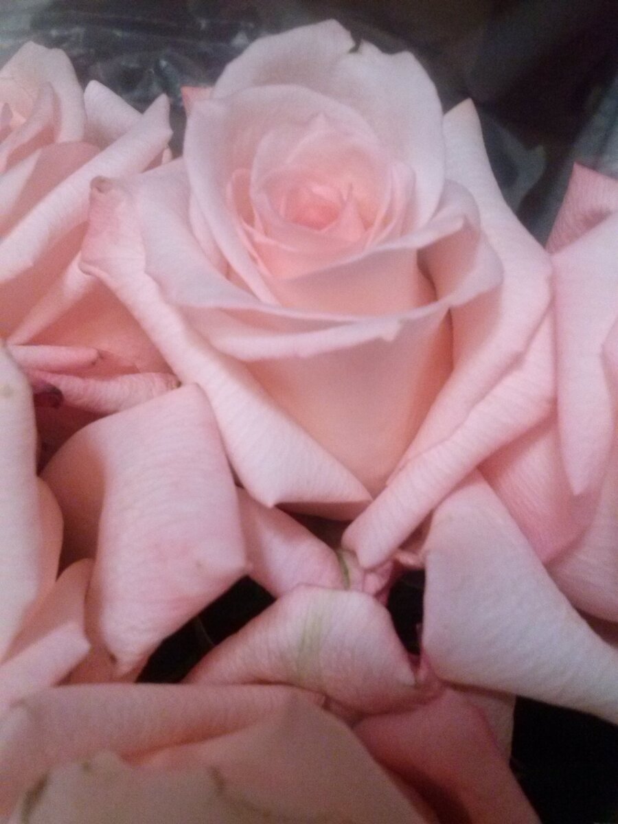 Фото из личного архива.