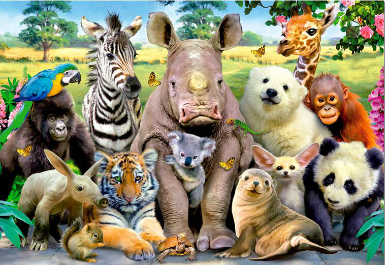 найди отличия 