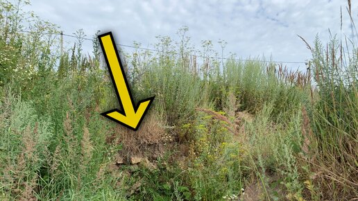 При рытье котлована под жилой дом, строители обнаружили старинный ...