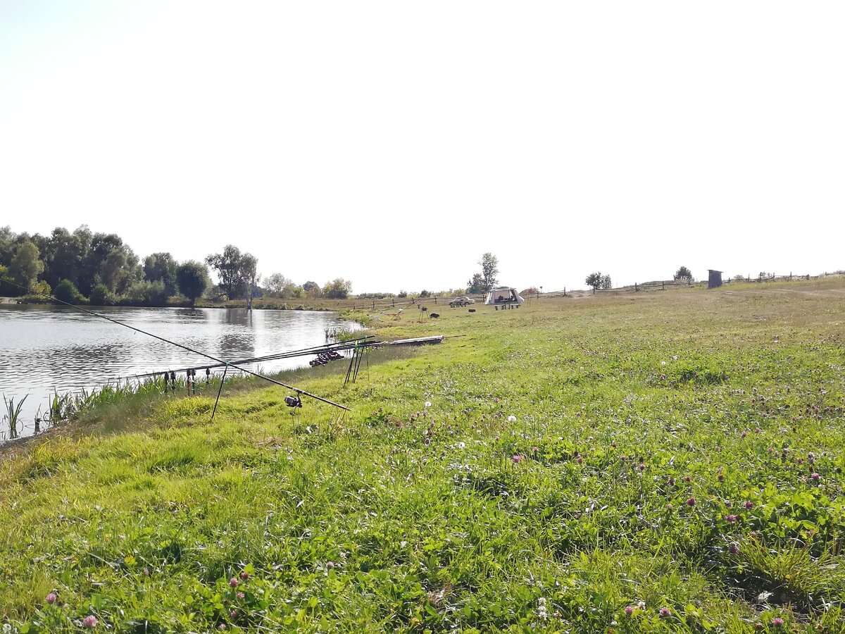 Вот так было раньше. Не было почти ничего, только платная рыбалка. Листай дальше >>>