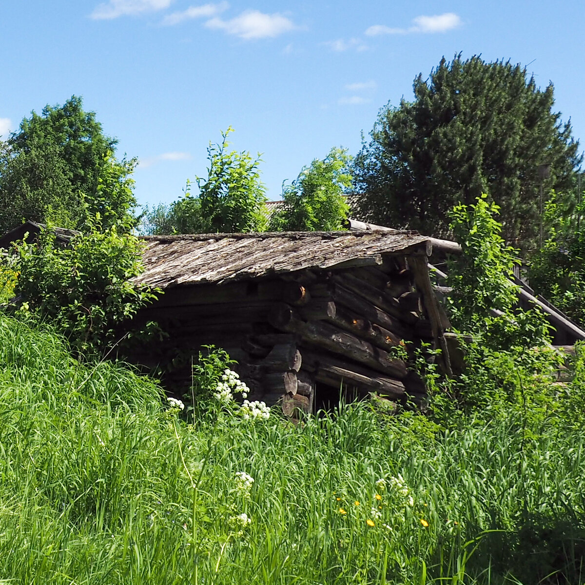 Баня по-черному. Исчезающий вид.