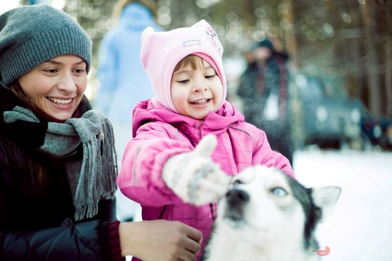 Автор фото неизвестен. Если вы его знаете, сообщите об этом, пожалуйста, в комментариях